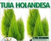 Banners em lona, impress&atilde;o digital em alt&iacute;ssima qualidade em qualquer formato. 